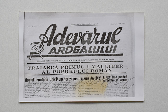 minerva_reproduceri_c1_poze_003