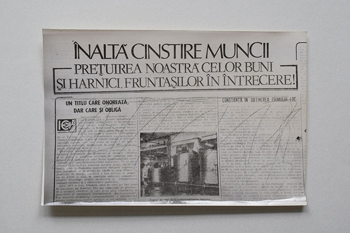 minerva_reproduceri_c1_poze_005