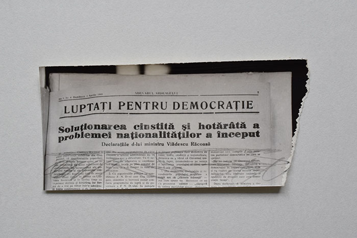 minerva_reproduceri_c1_poze_008