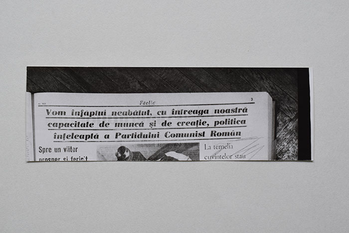 minerva_reproduceri_c1_poze_009