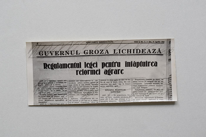 minerva_reproduceri_c1_poze_010