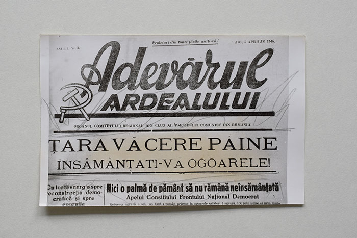 minerva_reproduceri_c1_poze_013