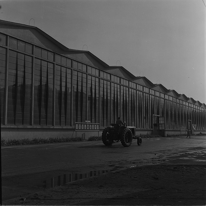 minerva_tehnofrig_004