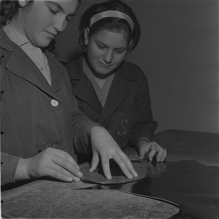 minerva_tehnofrig_019