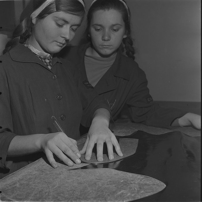 minerva_tehnofrig_020