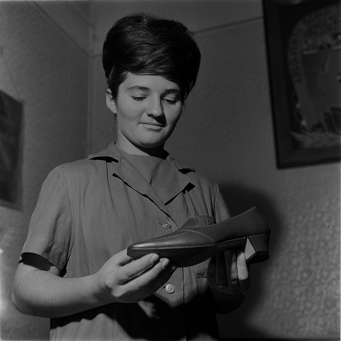 minerva_tehnofrig_024