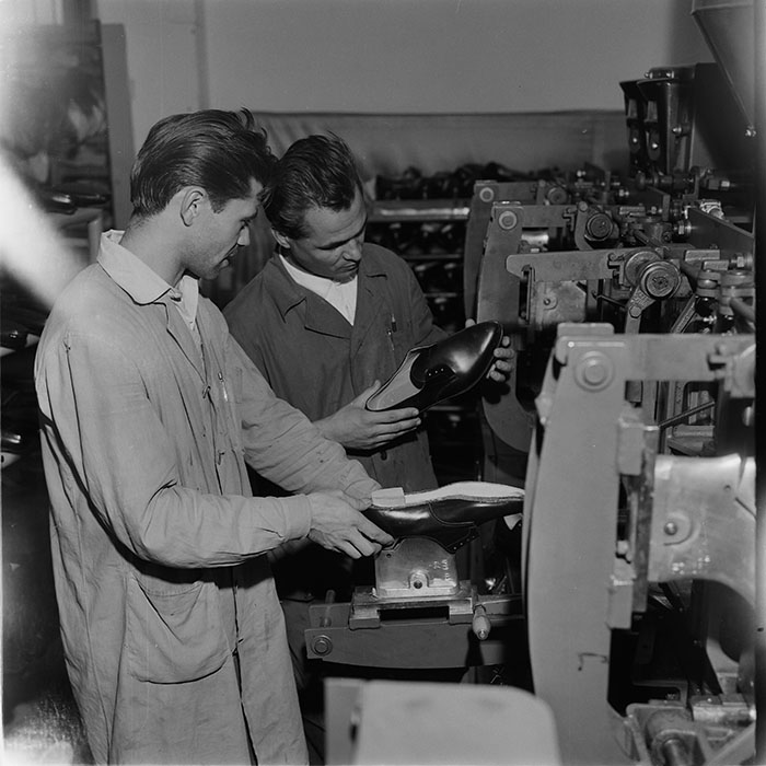 minerva_tehnofrig_026