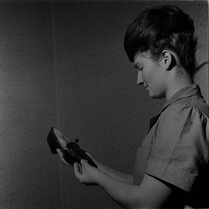 minerva_tehnofrig_028