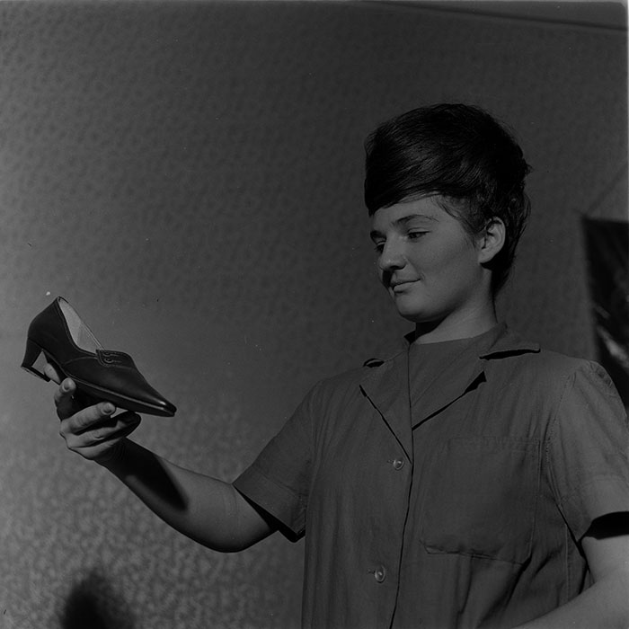 minerva_tehnofrig_034