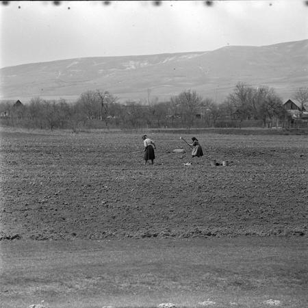 minerva_1965-1972_c1_c21_008