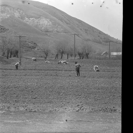 minerva_1965-1972_c1_c21_009