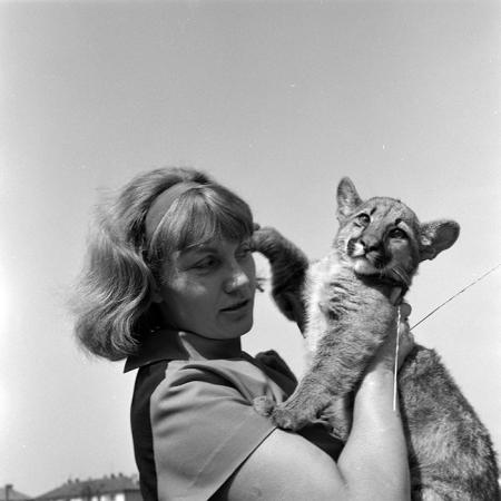 minerva_1966-1972_c1_c02_007