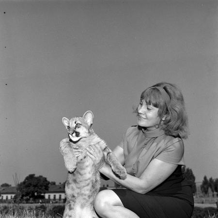 minerva_1966-1972_c1_c02_015