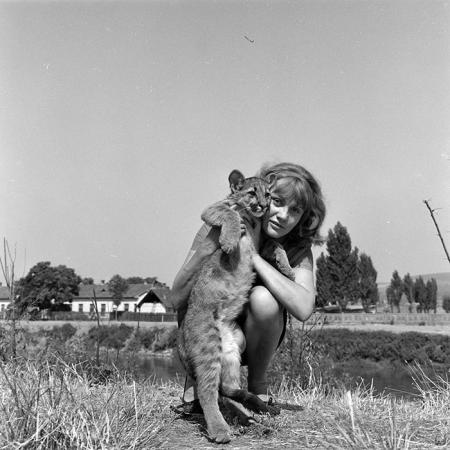 minerva_1966-1972_c1_c02_025