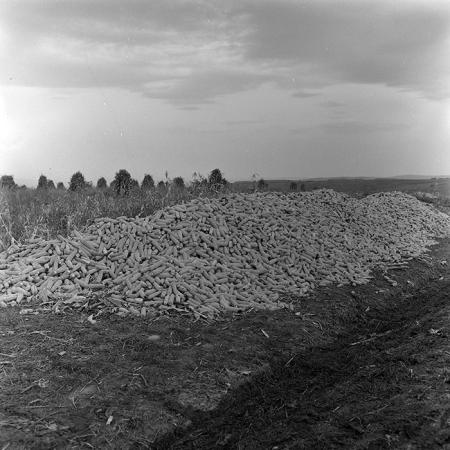 minerva_1966-1972_c1_c18_024