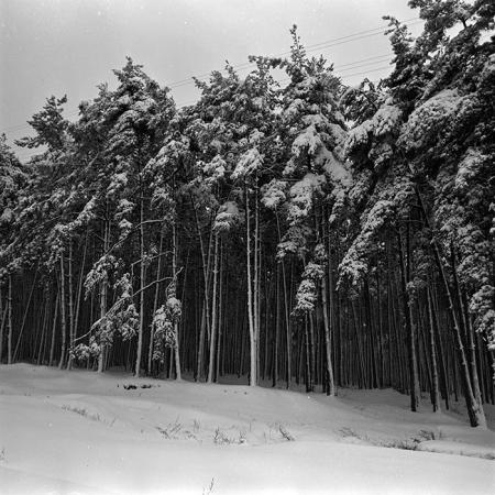 minerva_1966-1972_c1_c45_005