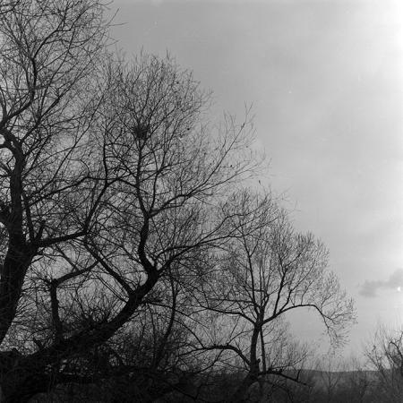 minerva_1966-1972_c1_c45_018