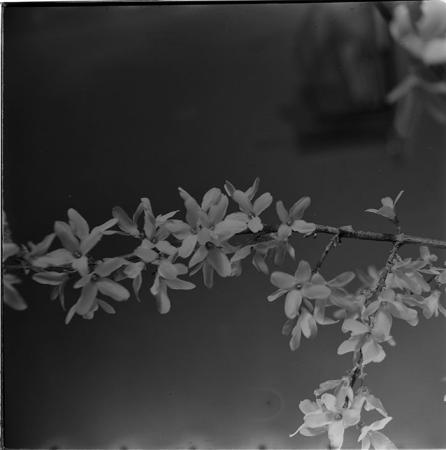 minerva_1967-1972_c3_c06_005