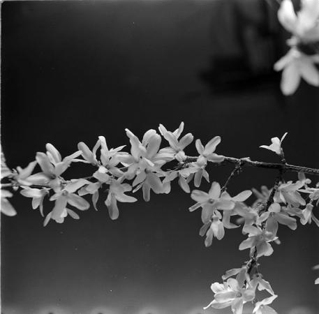 minerva_1967-1972_c3_c06_006