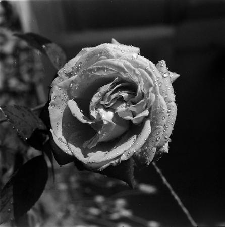 minerva_1967-1972_c3_c07_006