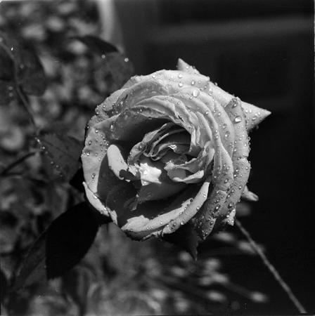 minerva_1967-1972_c3_c07_007