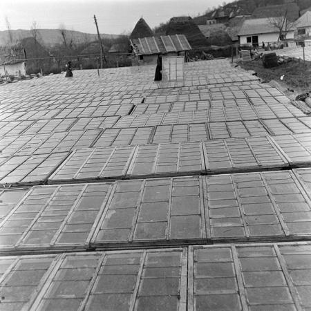 minerva_1967-1973_c1_c2r16_017