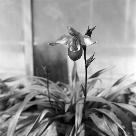 minerva_1967-1973_c1_c2r19_010