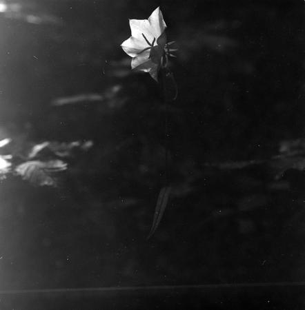 minerva_1967-1973_c1_c3r10_021