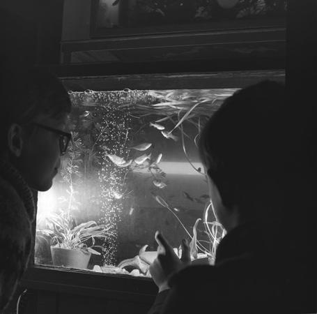 minerva_1967-1973_c1_c3r14_006