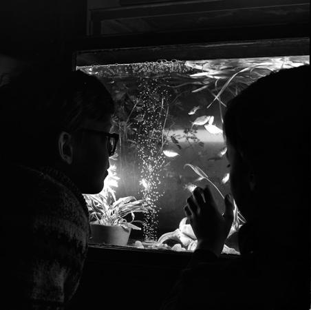 minerva_1967-1973_c1_c3r14_007