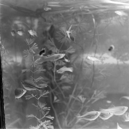 minerva_1967-1973_c1_c3r14_012