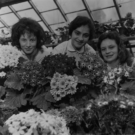 minerva_1967-1973_c1_c4r11_001