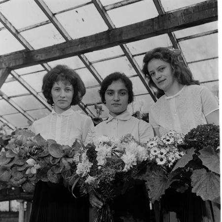 minerva_1967-1973_c1_c4r11_023