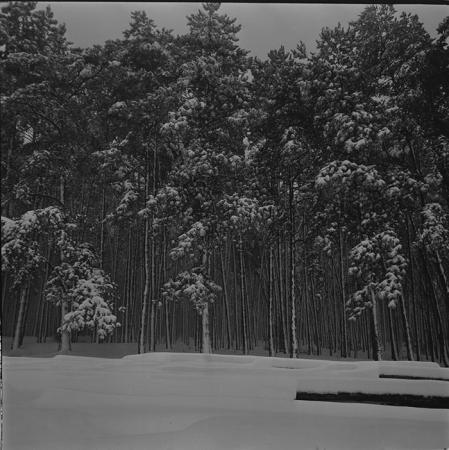 minerva_1967-1973_c1_c4r6_004