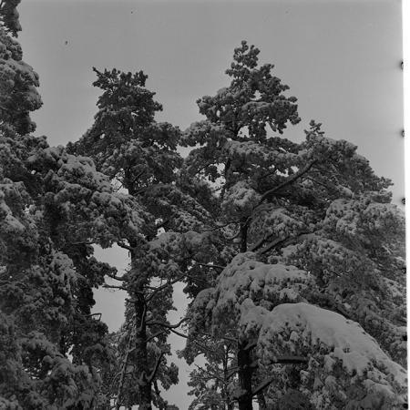 minerva_1967-1973_c1_c4r6_010