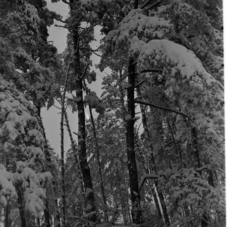 minerva_1967-1973_c1_c4r6_014