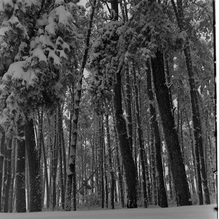 minerva_1967-1973_c1_c4r6_015