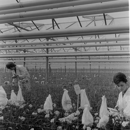 minerva_1967-1973_c1_c4r8_005