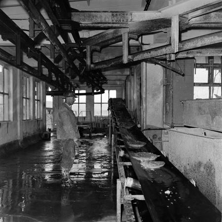 minerva_1967-1973_c1r3_007