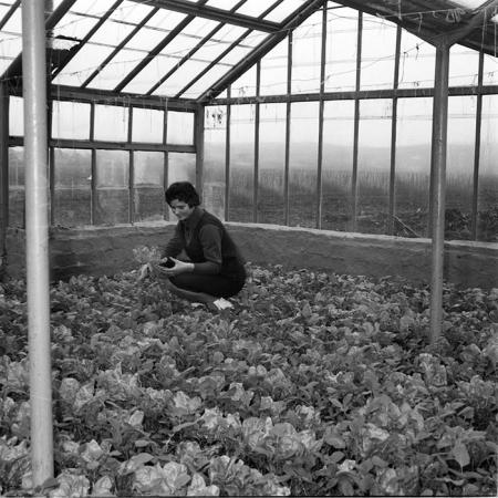 minerva_1967-1973_c2r1_032