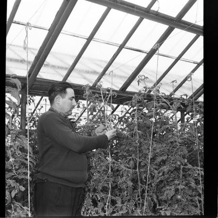 minerva_1967-1973_c2r1_034