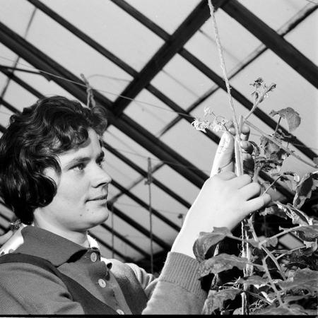 minerva_1967-1973_c2r1_035