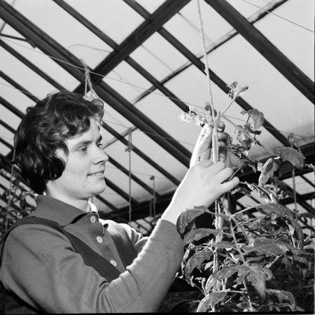 minerva_1967-1973_c2r1_036