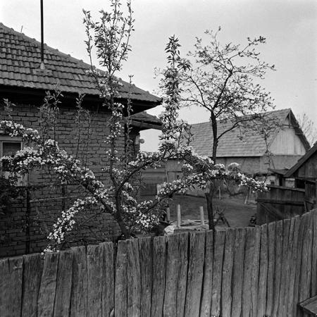 minerva_1967-1973_c2r7_002