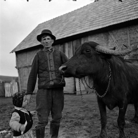 minerva_1967-1973_c2r7_014