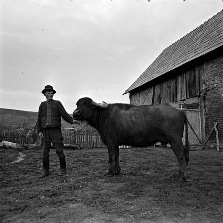 minerva_1967-1973_c2r7_024