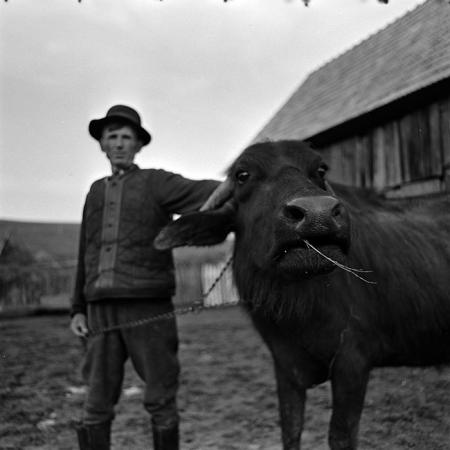 minerva_1967-1973_c2r7_025