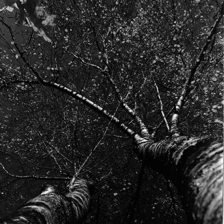 minerva_1967-1973_c3r14_001