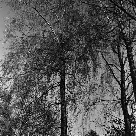 minerva_1967-1973_c3r14_007