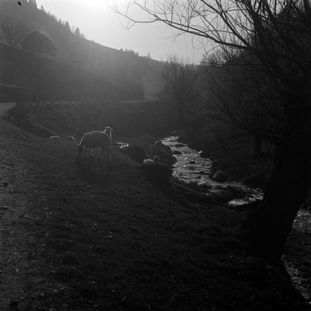 minerva_1967-1973_c3r1_009